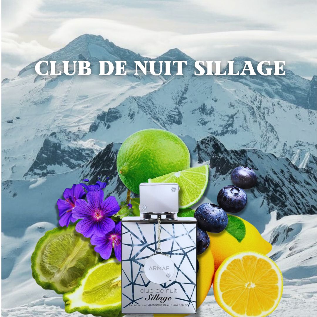 ARMAF CLUB DE NUIT SILLAGE 105 ML